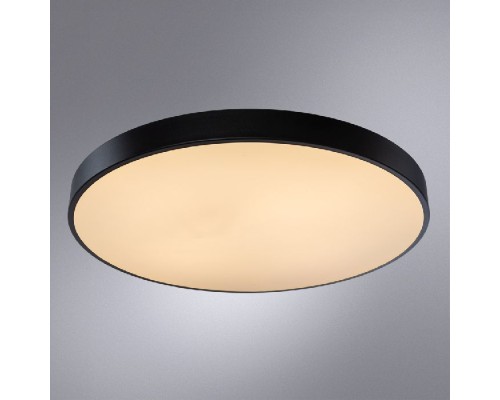 Потолочный светильник Arena A2673PL-1BK Arte Lamp