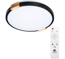 Потолочный светильник Jersey A2683PL-72BK Arte Lamp
