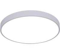 Потолочный светильник Arena A2686PL-35WH Arte Lamp