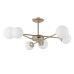Потолочная люстра Marco A2703PL-6SG Arte Lamp