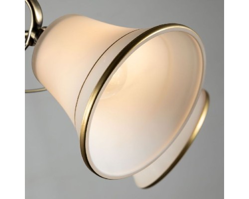 Потолочная люстра Blossom A2709PL-5AB Arte Lamp