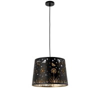 Подвесной светильник Celesta A2768SP-1BK Arte Lamp