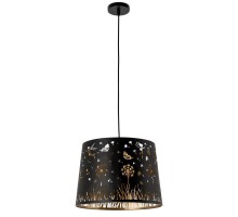 Подвесной светильник Celesta A2768SP-1BK Arte Lamp