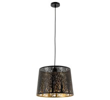 Подвесной светильник Celesta A2769SP-1BK Arte Lamp