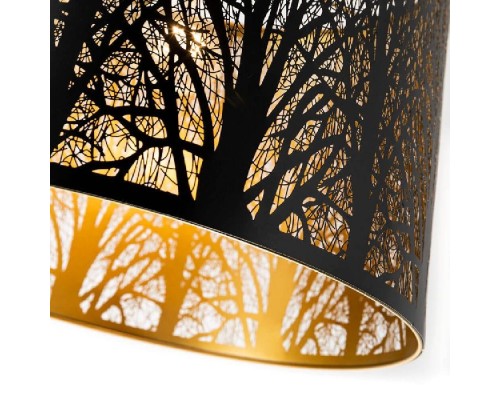 Подвесной светильник Celesta A2769SP-1BK Arte Lamp