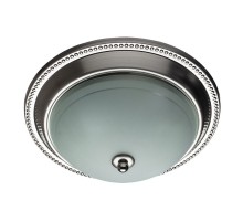 Потолочный светильник Alta A3011PL-2SS Arte Lamp