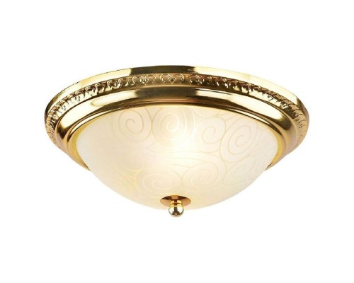 Потолочный светильник Alta A3013PL-2GO Arte Lamp