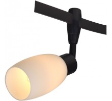 Трековый светильник Rail Heads A3059PL-1BK Arte Lamp