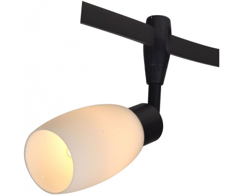 Трековый светильник Rail Heads A3059PL-1BK Arte Lamp
