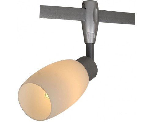 Трековый светильник Rail Heads A3059PL-1SI Arte Lamp