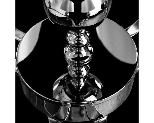 Подвесная люстра Promessa A3074LM-6CC Arte Lamp