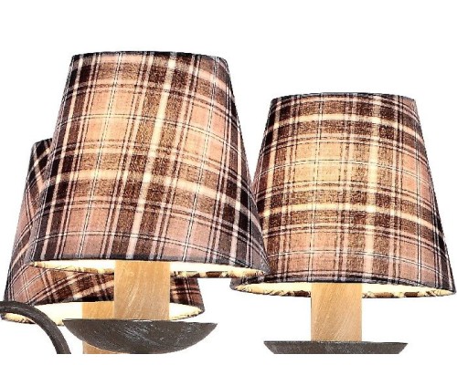 Подвесная люстра Scotch A3090LM-6GY Arte Lamp