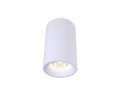 Потолочный светильник Ugello A3105PL-1WH Arte Lamp