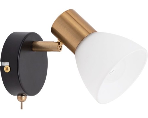 Спот Falena A3117AP-1BK Arte Lamp