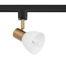 Трековый светильник Falena A3117PL-1BK Arte Lamp