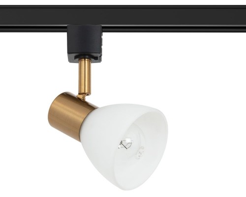 Трековый светильник Falena A3117PL-1BK Arte Lamp