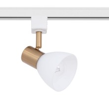 Трековый светильник Falena A3117PL-1WH Arte Lamp