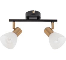 Спот Falena A3117PL-2BK Arte Lamp