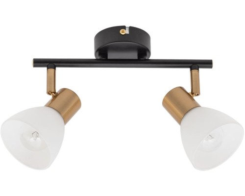 Спот Falena A3117PL-2BK Arte Lamp