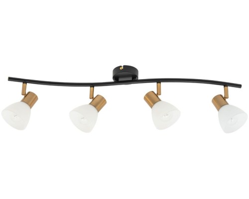 Спот Falena A3117PL-4BK Arte Lamp