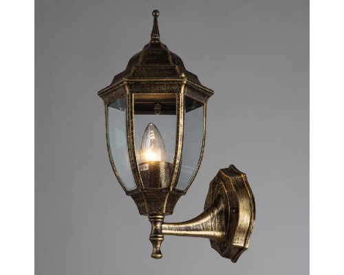 Настенный фонарь уличный Pegasus A3151AL-1BN Arte Lamp
