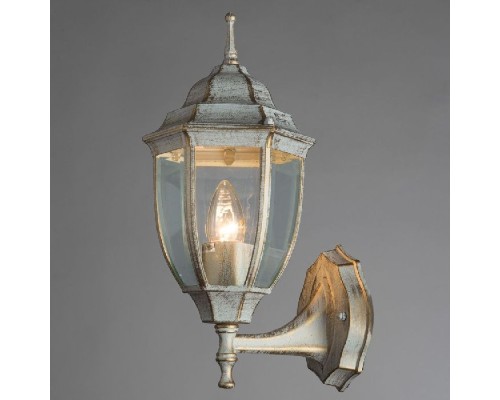 Настенный фонарь уличный Pegasus A3151AL-1WG Arte Lamp