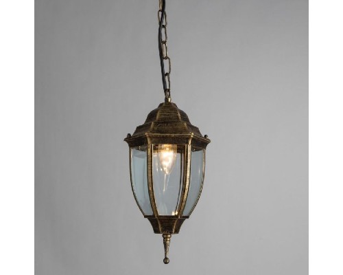 Уличный подвесной светильник Pegasus A3151SO-1BN Arte Lamp