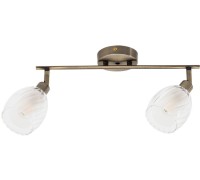 Спот Biham A3184PL-2AB Arte Lamp