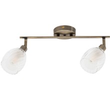 Спот Biham A3184PL-2AB Arte Lamp