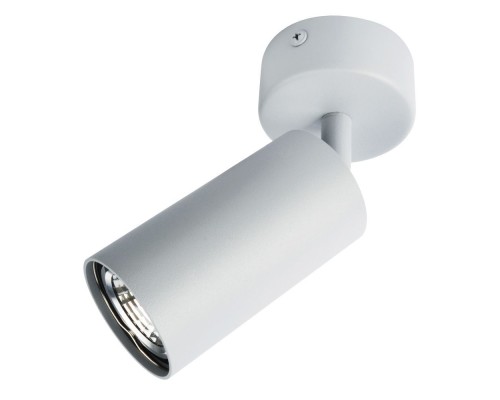 Спот Aquarius A3216PL-1GY Arte Lamp