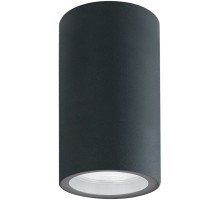 Потолочный светильник уличный Mistero A3302PF-1GY Arte Lamp