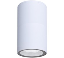 Потолочный светильник уличный Mistero A3302PF-1WH Arte Lamp