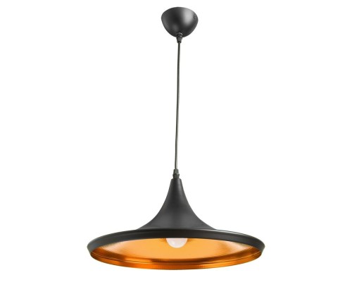 Подвесной светильник Cappello A3406SP-1BK Arte Lamp