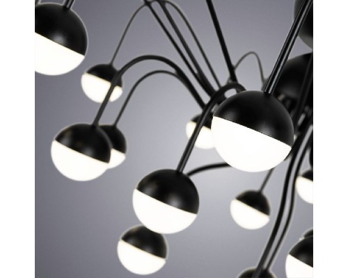 Потолочная люстра Dexter A3619PL-24BK Arte Lamp