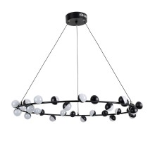 Подвесная люстра Dexter A3619SP-30BK Arte Lamp