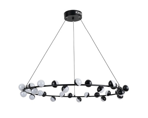 Подвесная люстра Dexter A3619SP-30BK Arte Lamp