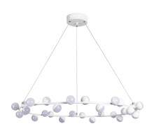 Подвесная люстра Dexter A3619SP-30WH Arte Lamp