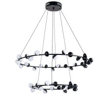 Подвесная люстра Dexter A3619SP-48BK Arte Lamp
