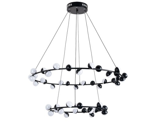 Подвесная люстра Dexter A3619SP-48BK Arte Lamp