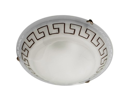 Настенно-потолочный светильник Antica A3650PL-3AB Arte Lamp