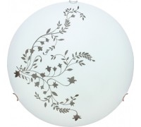 Настенно-потолочный светильник Ornament A3820PL-2CC Arte Lamp
