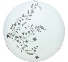 Настенно-потолочный светильник Ornament A3820PL-2CC Arte Lamp