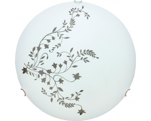 Настенно-потолочный светильник Ornament A3820PL-2CC Arte Lamp
