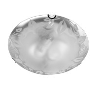 Настенно-потолочный светильник Leaves A4020PL-2CC Arte Lamp