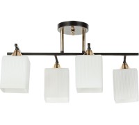 Потолочная люстра Merope A4071PL-4BK Arte Lamp