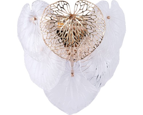 Настенный светильник Kapri A4078AP-2GO Arte Lamp