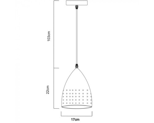 Подвесной светильник Lucido A4081SP-1SS Arte Lamp