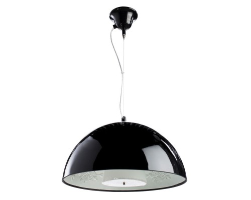 Подвесной светильник Rome A4175SP-1BK Arte Lamp