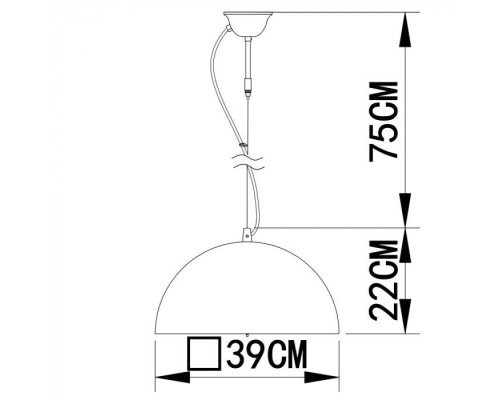 Подвесной светильник Rome A4175SP-1BK Arte Lamp