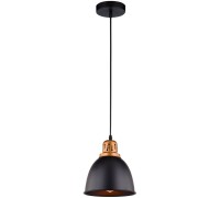 Подвесной светильник Eurica A4245SP-1BK Arte Lamp